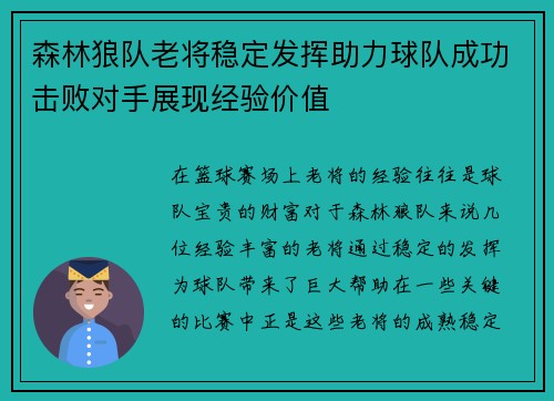 森林狼队老将稳定发挥助力球队成功击败对手展现经验价值